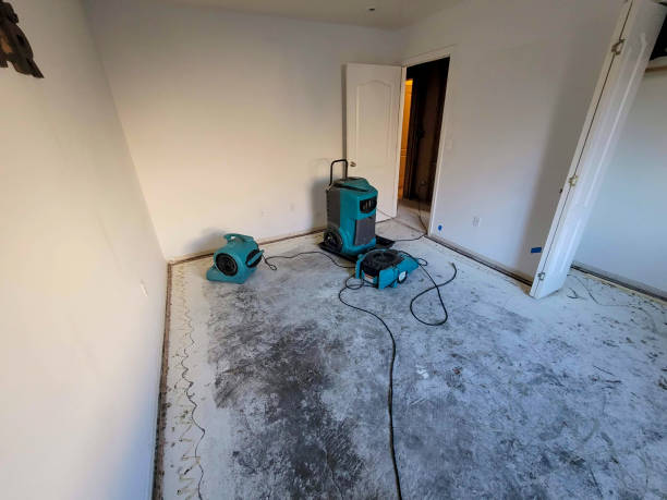 Carpet water damage restoration in Carroll, IA