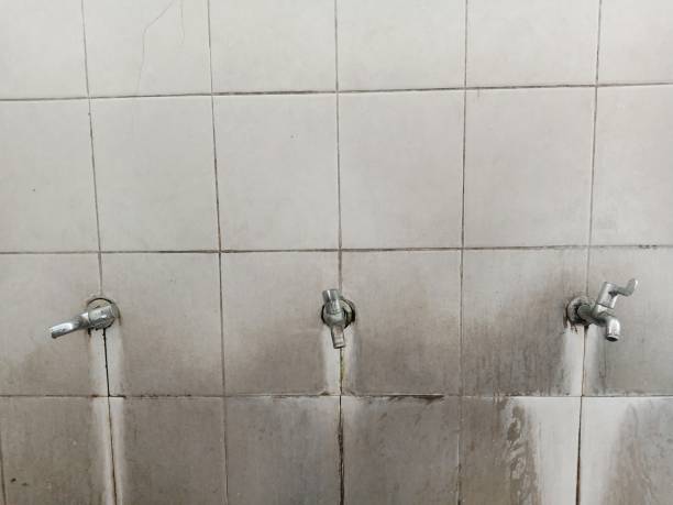 Best Residential water damage restoration  in Carroll, IA