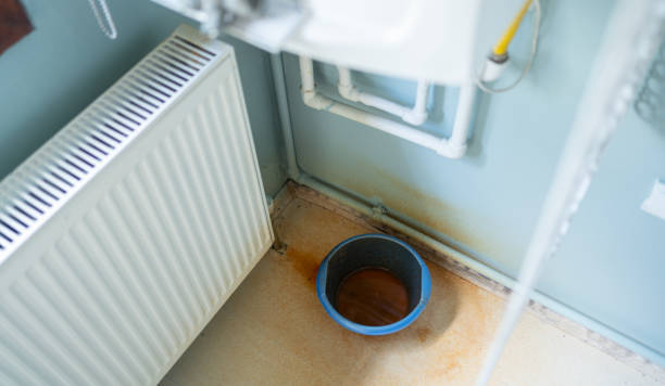 Best Emergency water damage restoration  in Carroll, IA