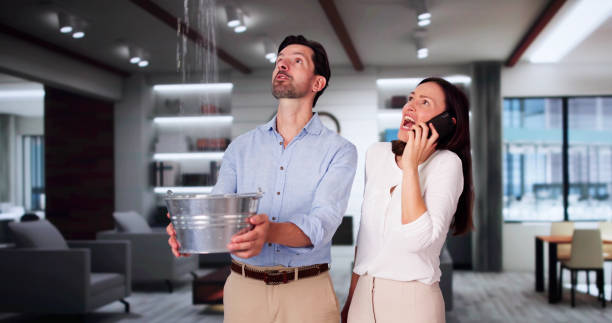  Carroll, IA Water damage restoration Pros