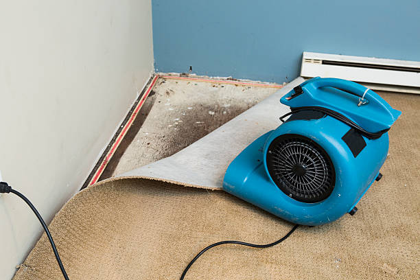 Best 24/7 water damage repair  in Carroll, IA